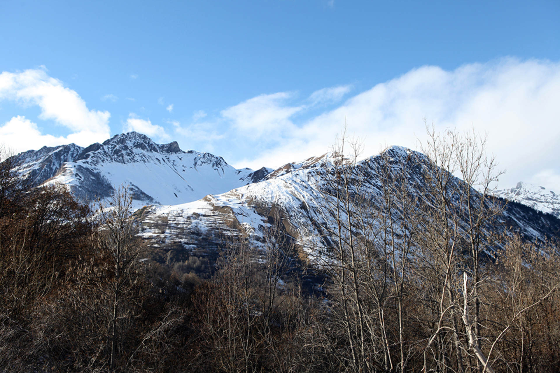 Photo lot 60030372