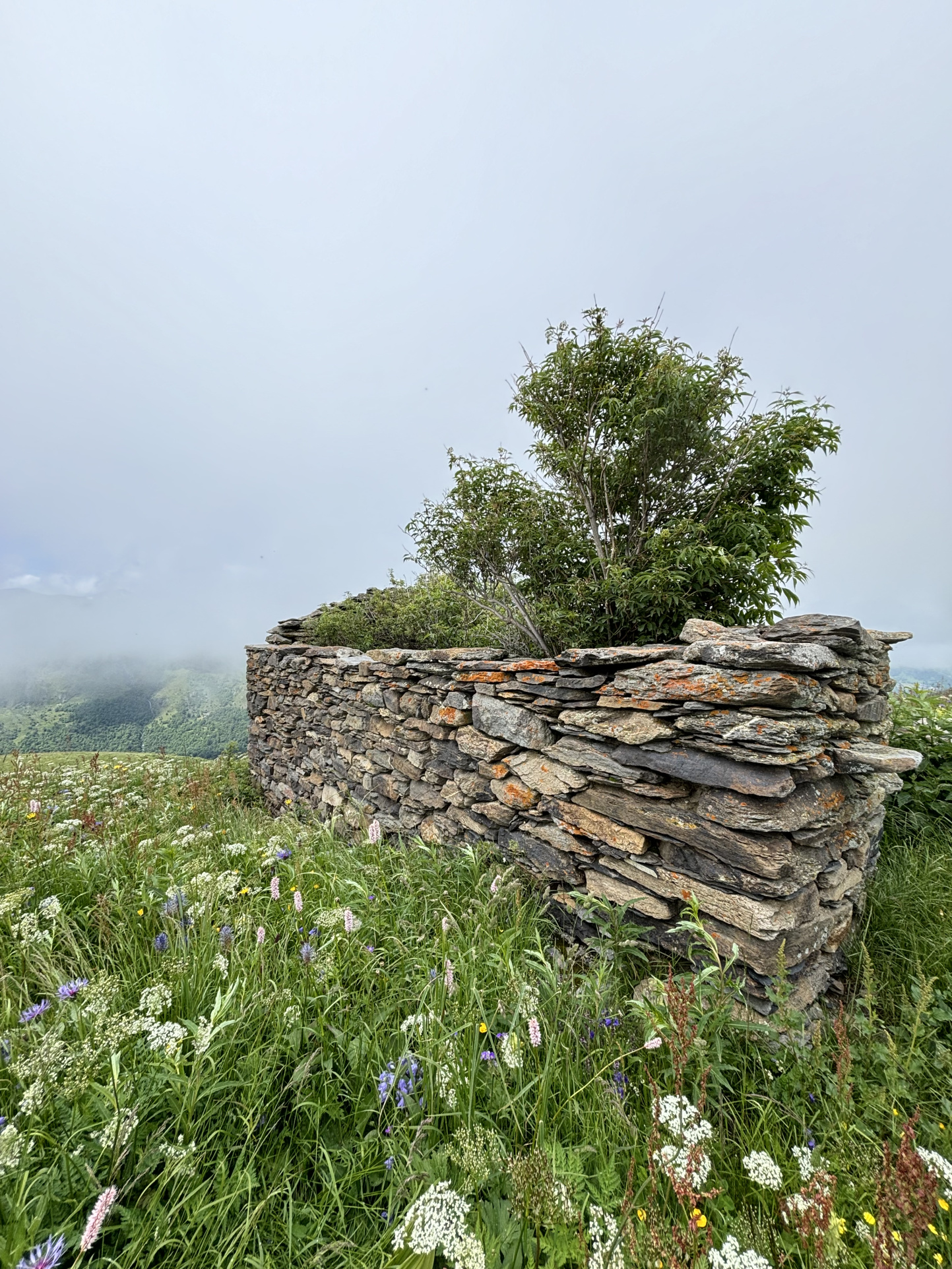 Photo propriété 2426